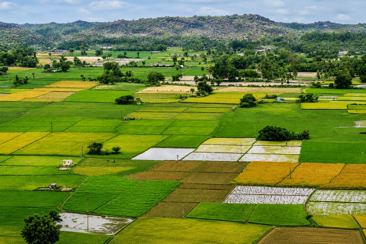 Agricultural Land for Sale in Telangana