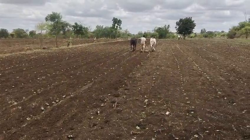 Agricultural Land for Sale in Gotimukula
