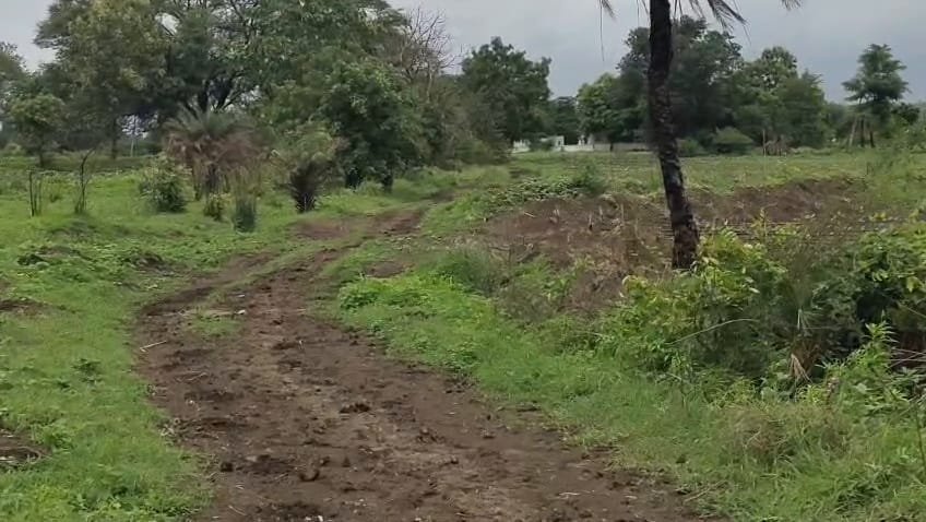 Land Property