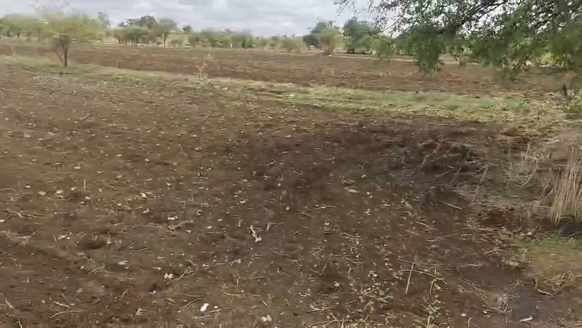 Agricultural Property