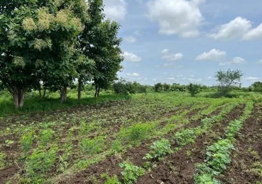 Open Plots for Sale